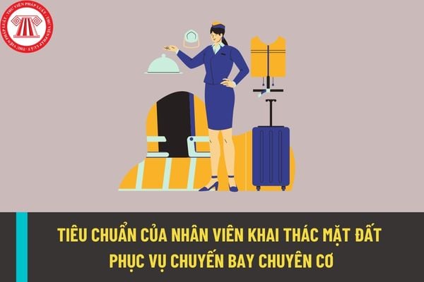 Tiêu chuẩn đối với nhân viên khai thác mặt đất phục vụ chuyến bay chuyên cơ, chuyên khoang tại cảng hàng không, sân bay như thế nào?