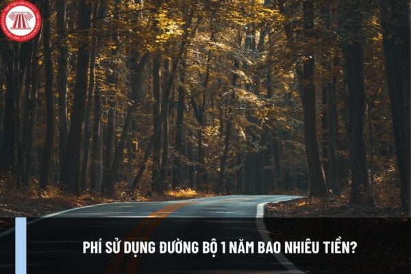 Phí sử dụng đường bộ 1 năm bao nhiêu tiền? Bảng thu phí sử dụng đường bộ áp dụng từ 01/02/2024?