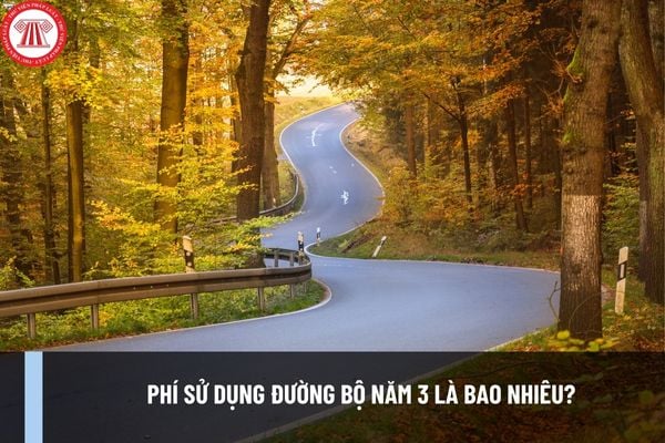 Phí sử dụng đường bộ năm 3 là bao nhiêu? Cách tính phí đường bộ năm 3 theo Nghị định 90/2023/NĐ-CP?