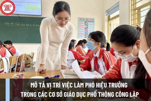 Mô tả vị trí việc làm phó hiệu trưởng trong các cơ sở giáo dục phổ thông công lập theo Thông tư 20/2023/TT-BGDĐT ra sao?