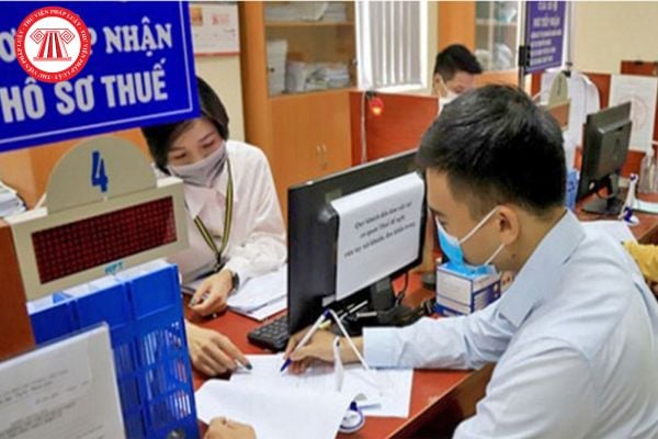 Pháp luật