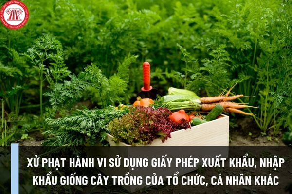 Mức phạt khi sử dụng giấy phép xuất khẩu, nhập khẩu giống cây trồng của tổ chức, cá nhân khác ra sao?