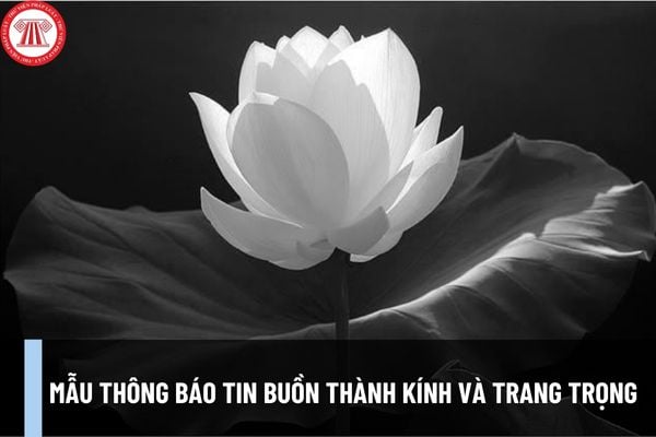 Mẫu thông báo tin buồn thành kính và trang trọng nhất? Nội dung thông báo tin buồn gồm những gì?