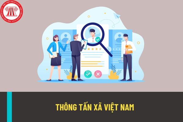 Thông tấn xã Việt Nam giữ vị trí và chức năng như thế nào? Cơ cấu tổ chức của Thông tấn xã Việt Nam?