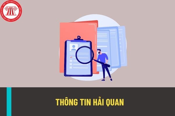 Có bao nhiêu loại thông tin hải quan? Trách nhiệm tổ chức thu thập thông tin hải quan của cơ quan hải quan được thực hiện thế nào?