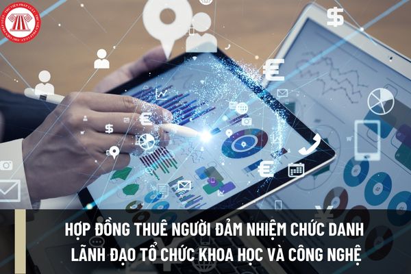 Mẫu hợp đồng thuê người Việt Nam ở nước ngoài và chuyên gia nước ngoài đảm nhiệm chức danh lãnh đạo tổ chức khoa học và công nghệ công lập ra sao?
