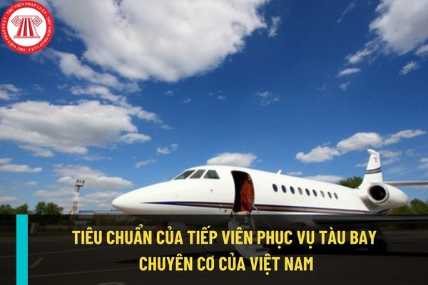 Tiếp viên phục vụ trên tàu bay chuyên cơ của Việt Nam phải đáp ứng tiêu chuẩn như thế nào?