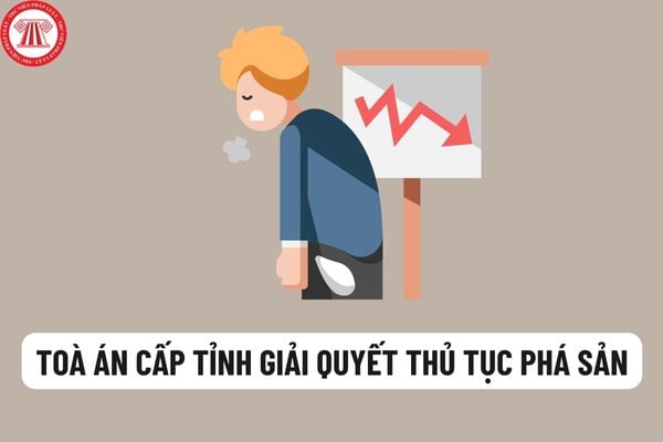 Tòa án nhân dân cấp tỉnh sẽ tiến hành giải quyết phá sản trong những trường hợp nào? Thẩm phán tiến hành thủ tục phá sản sẽ có quyền gì?