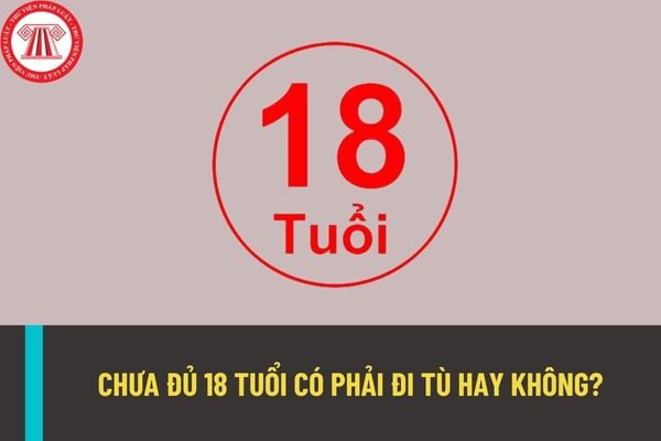 Người chưa đủ 18 tuổi có phải chịu trách nhiệm hình sự với hành vi phạm tội mà mình gây ra không?