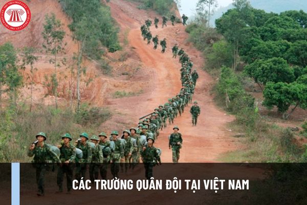 Các trường quân đội tại Việt Nam? Tổng hợp danh sách các trường quân đội tại Việt Nam và địa chỉ?