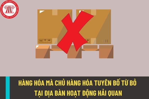 Hàng hóa mà chủ hàng hóa tuyên bố từ bỏ tại địa bàn hoạt động hải quan là những loại hàng hóa nào?