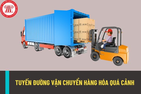 Tuyến đường sử dụng để vận chuyển hàng hóa quá cảnh qua lãnh thổ Việt Nam sẽ được quyết định dựa trên cơ sở nào?