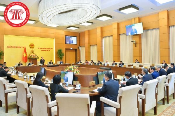 Pháp luật