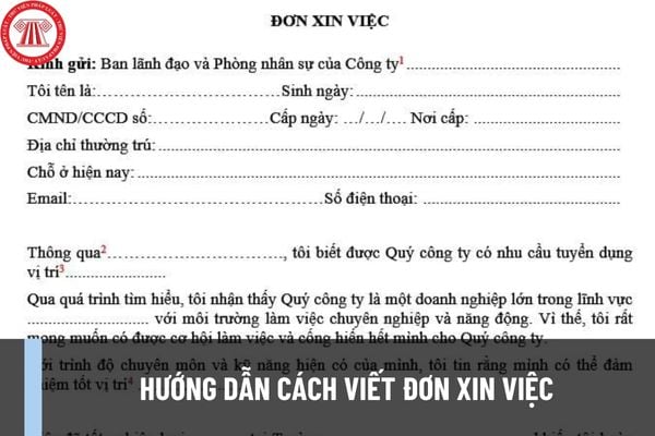 Hướng dẫn viết đơn xin việc trong hồ sơ xin việc chuẩn, gây ấn tượng cho nhà tuyển dụng mới nhất? 