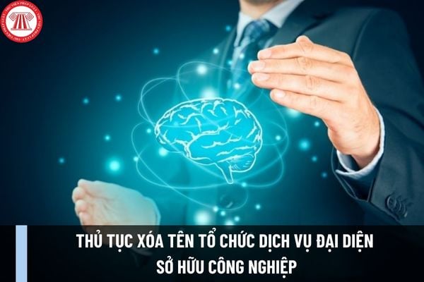 Thủ tục xóa tên tổ chức dịch vụ đại diện sở hữu công nghiệp cấp Trung ương mới nhất được thực hiện như thế nào?