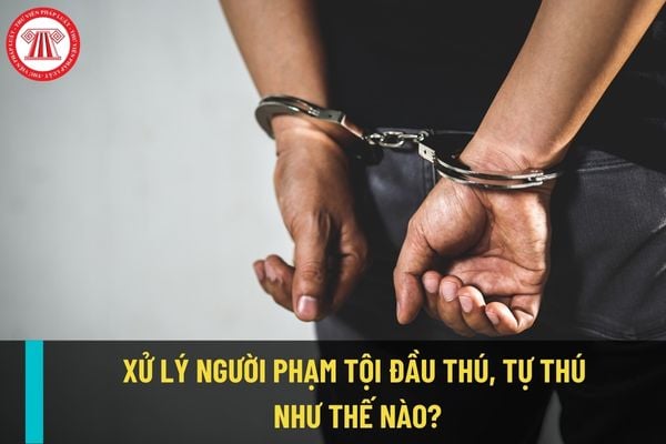 Xử lý như thế nào trong trường hợp người phạm tội tự thú, đầu thú? Đầu thú, tự thú có được miễn trách nhiệm hình sự không?