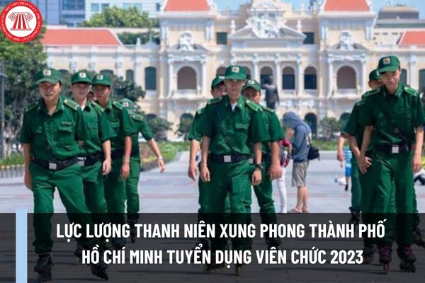Lực lượng thanh niên xung phong Thành phố Hồ Chí Minh tuyển dụng viên chức năm 2023 với chí tiêu là bao nhiêu?