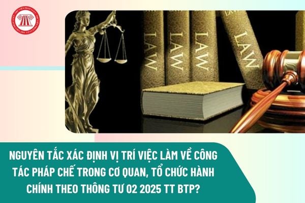 Pháp luật