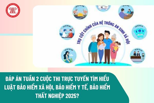 Pháp luật