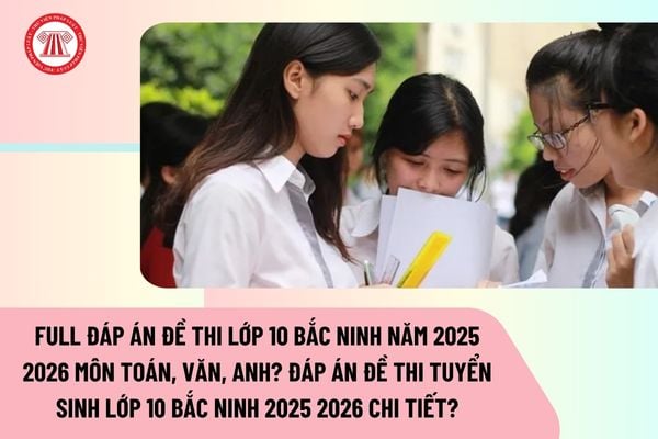Pháp luật