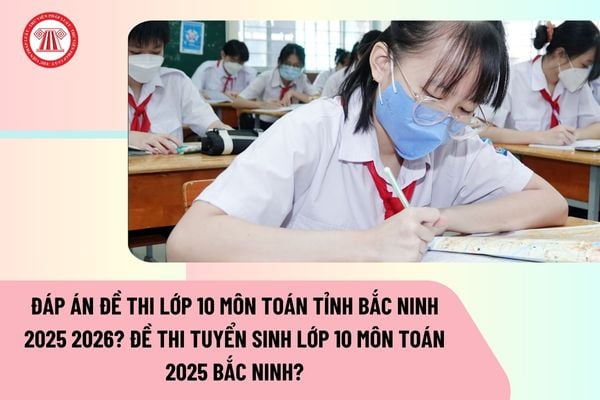 Pháp luật