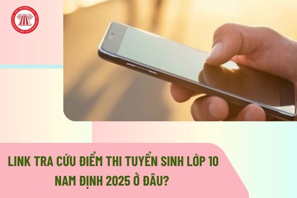 Pháp luật