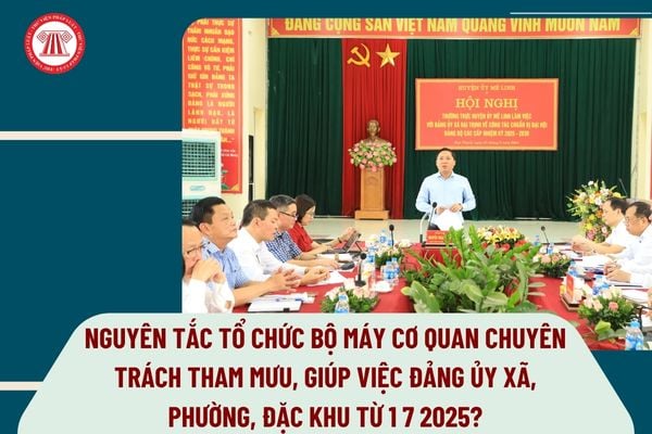 Pháp luật