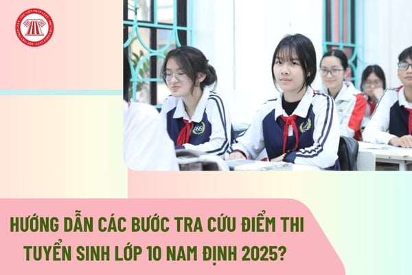 Pháp luật