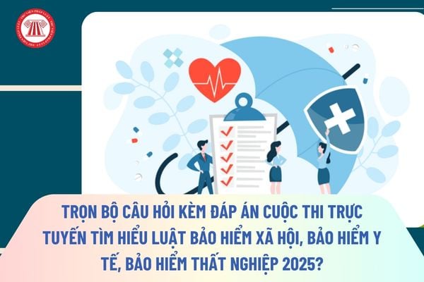 Pháp luật