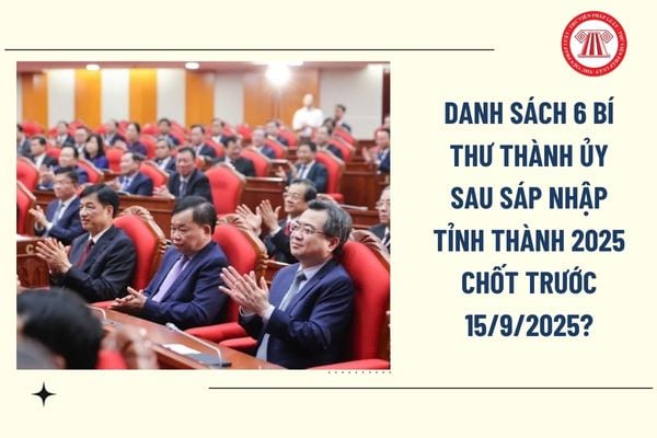 Pháp luật