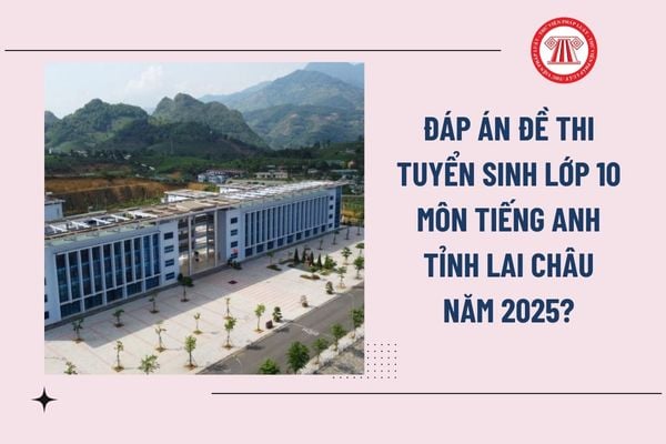 Pháp luật
