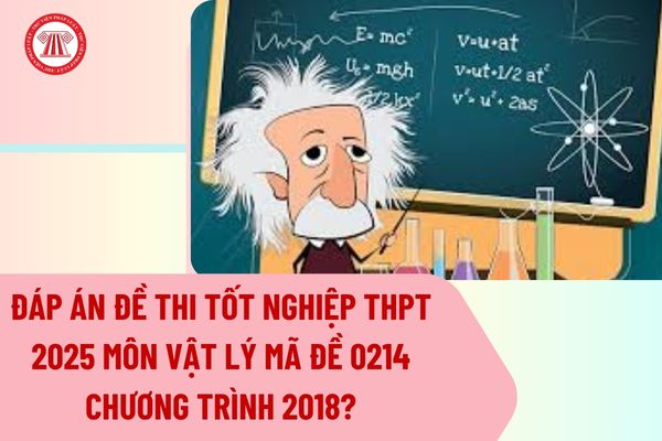 Pháp luật