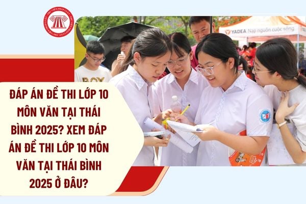 Pháp luật