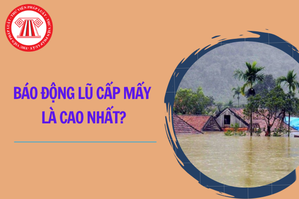 Báo động lũ cấp mấy là cao nhất?