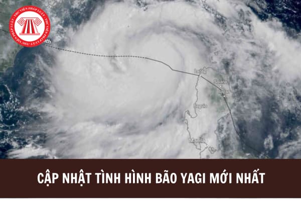 Cập nhật tình hình bão Yagi mới nhất