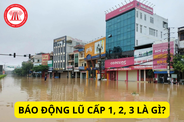 Các mức báo động lũ cấp 1, 2, 3 là gì?