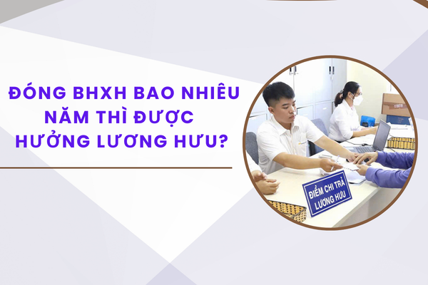 Pháp luật