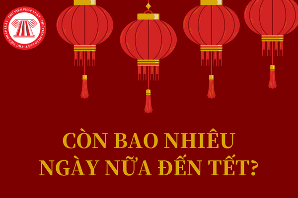 Đếm ngày bao nhiêu ngày nữa đến 5/1/2023 và cách tính thời gian còn lại