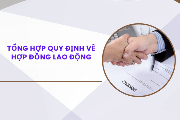 Pháp luật