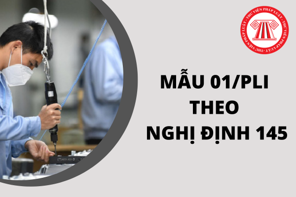 Mẫu báo cáo tình hình sử dụng lao động 2023