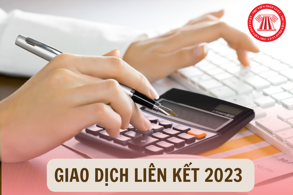 Phụ lục giao dịch liên kết 2023