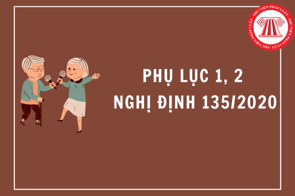 Phụ lục 1, 2 Nghị định 135/2020/NĐ-CP về tuổi nghỉ hưu mới nhất? 