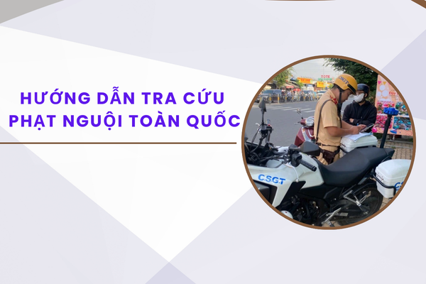 Pháp luật