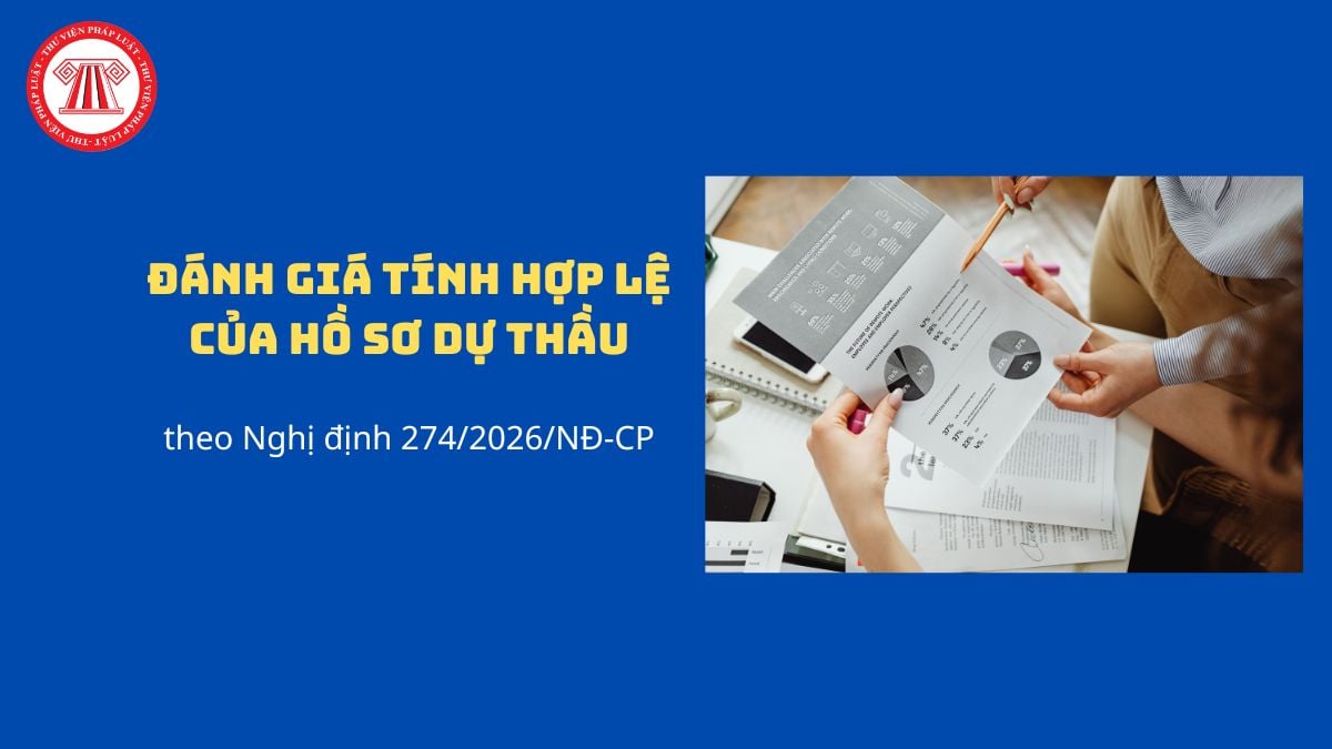 Pháp luật
