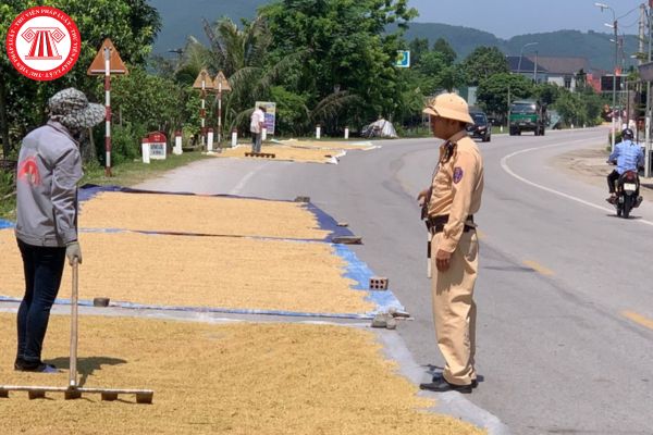 Pháp luật