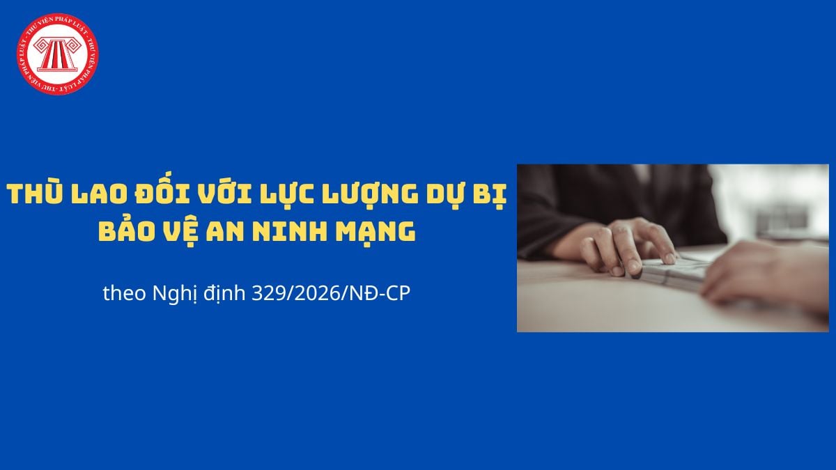 Pháp luật