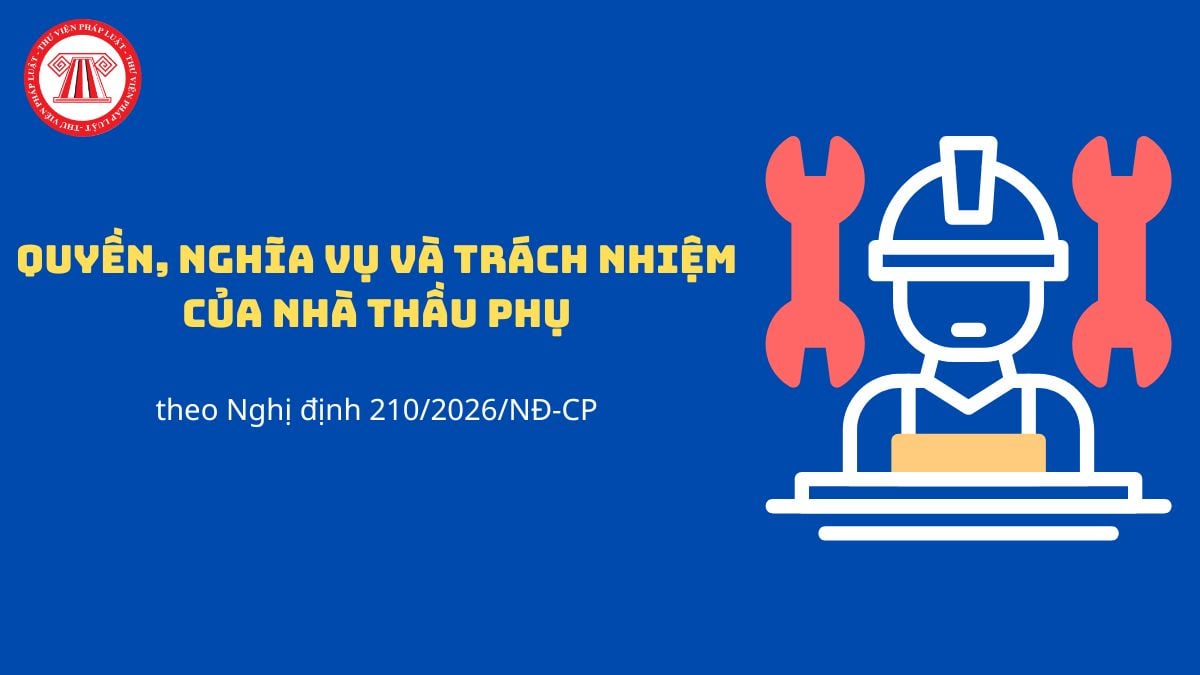Pháp luật