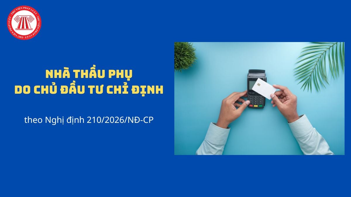 Pháp luật