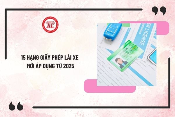 15 hạng giấy phép lái xe mới áp dụng từ 2025? Bằng lái xe cũ có được tiếp tục sử dụng từ 2025 không?