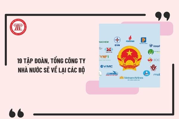 19 tập đoàn, tổng công ty Nhà nước sẽ về lại các Bộ quản lý ngành khi Ủy ban quản lý vốn nhà nước tại doanh nghiệp kết thúc hoạt động?